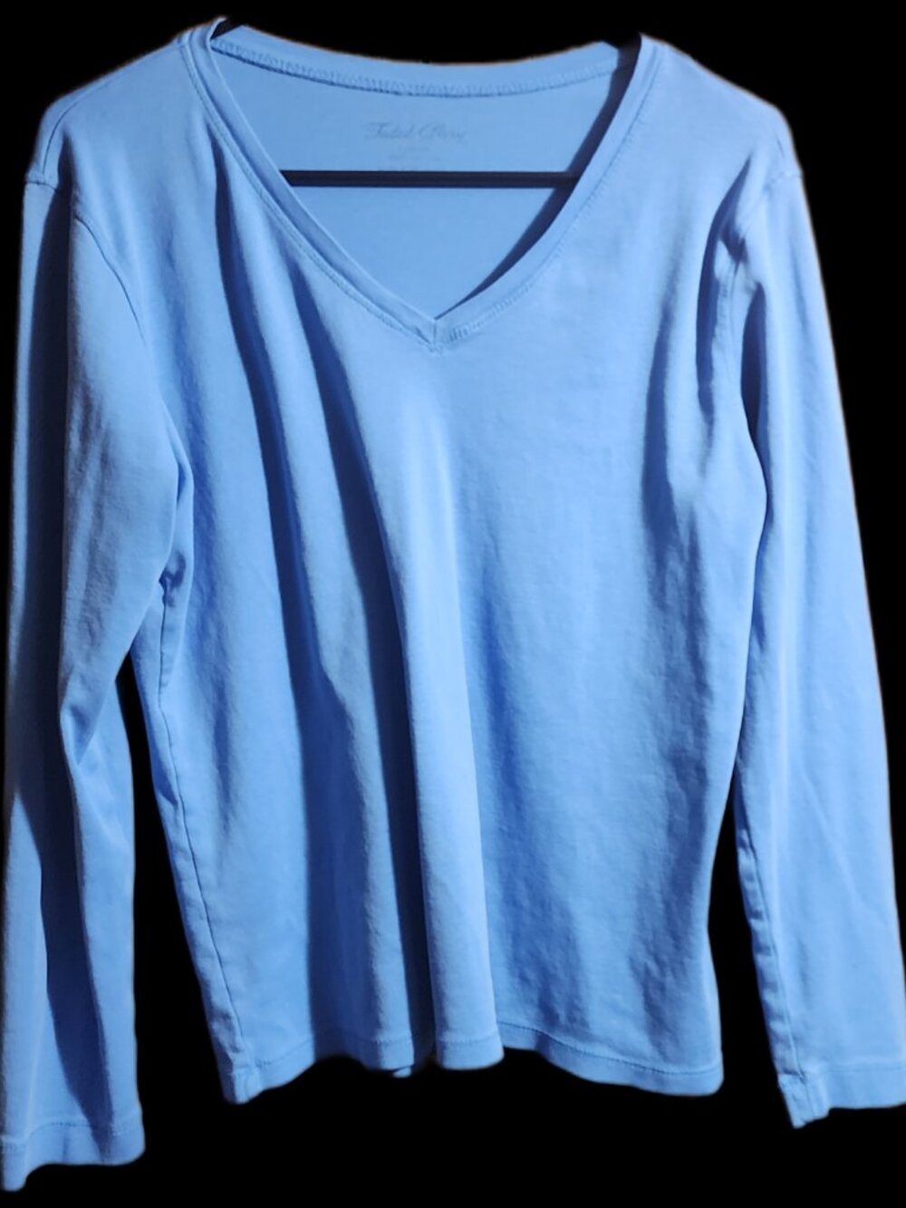 Faded Glory Women's V-Neck Long Sleeve Tee Light Blue Size L (12/14)